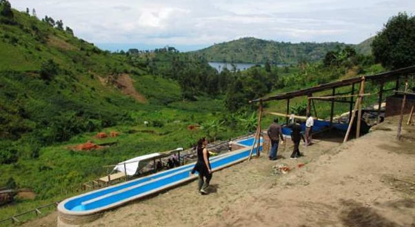 An overview of one of the washing stations at Muungano. Lake Kivu in the background.