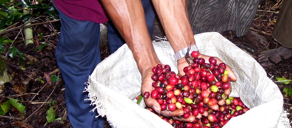 Origin Report: Kimel PB 2016 Offering