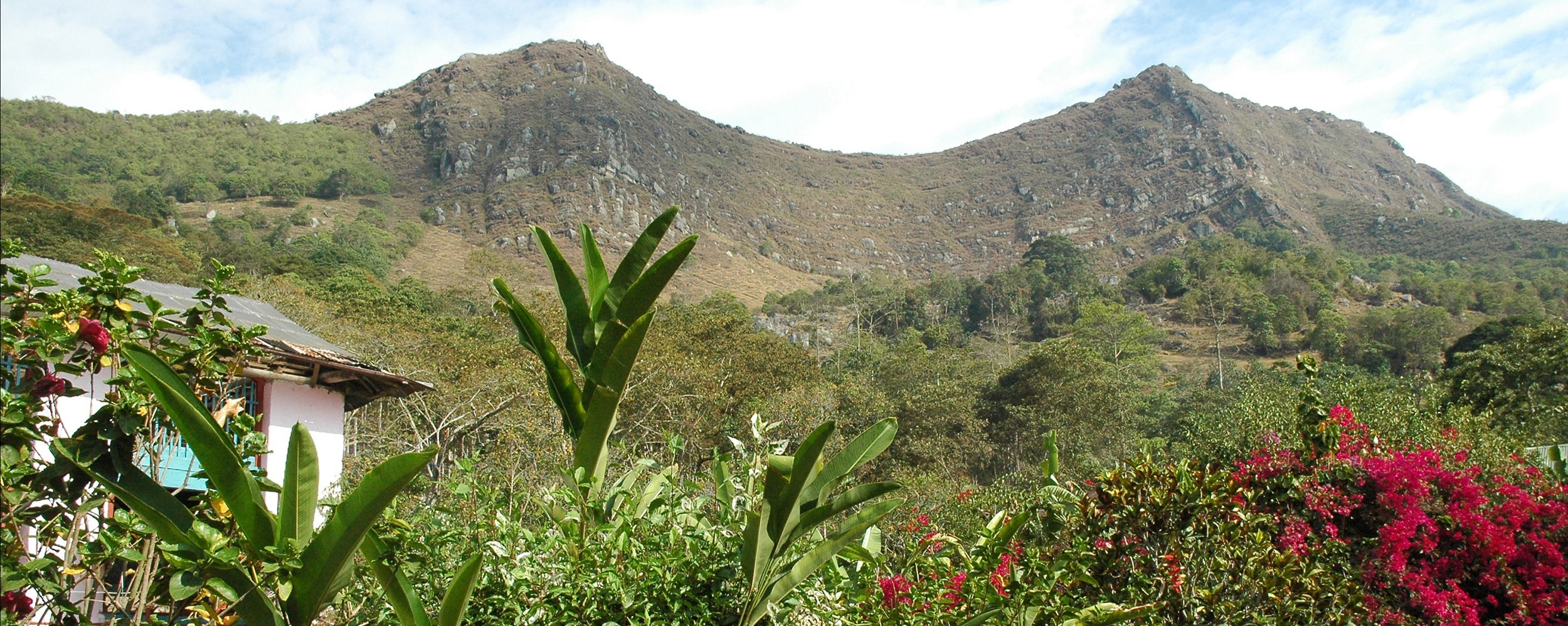 A photo of Finca La Fragua, one of the first farms we worked with in our Coffee Origin Partnership Vision.