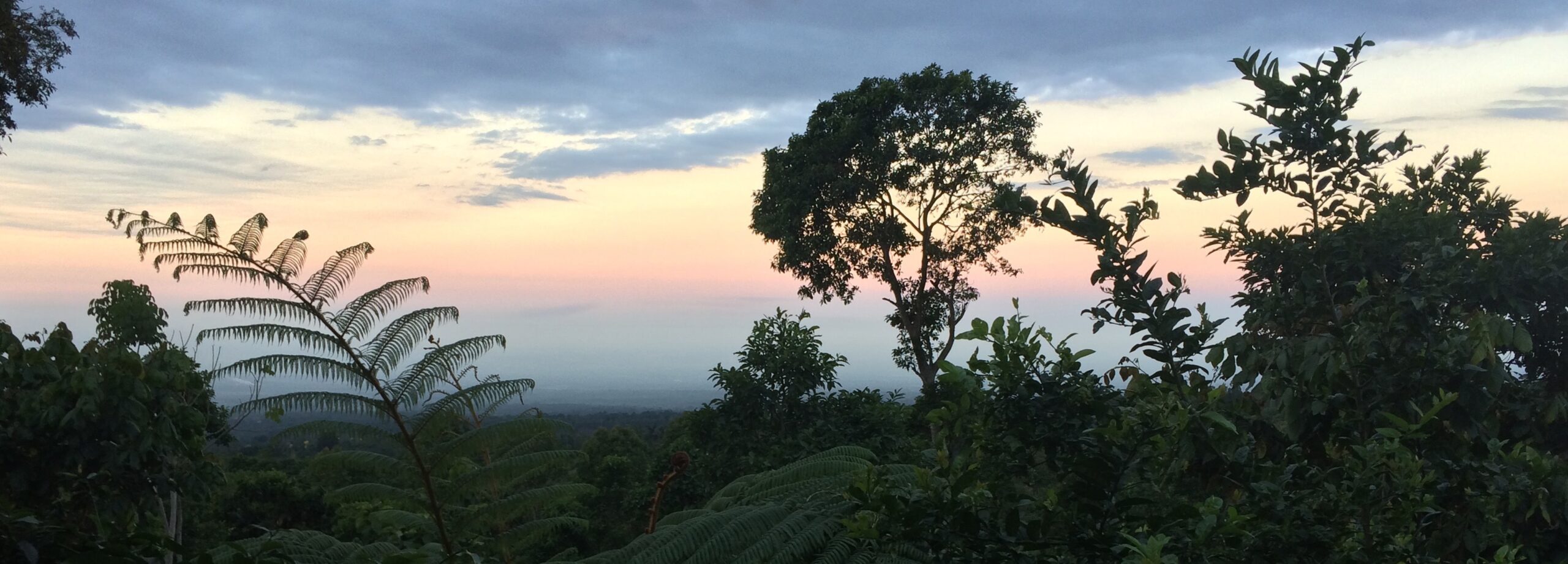 a serene sunset at finca esperanza in cerro pecul, guatemala