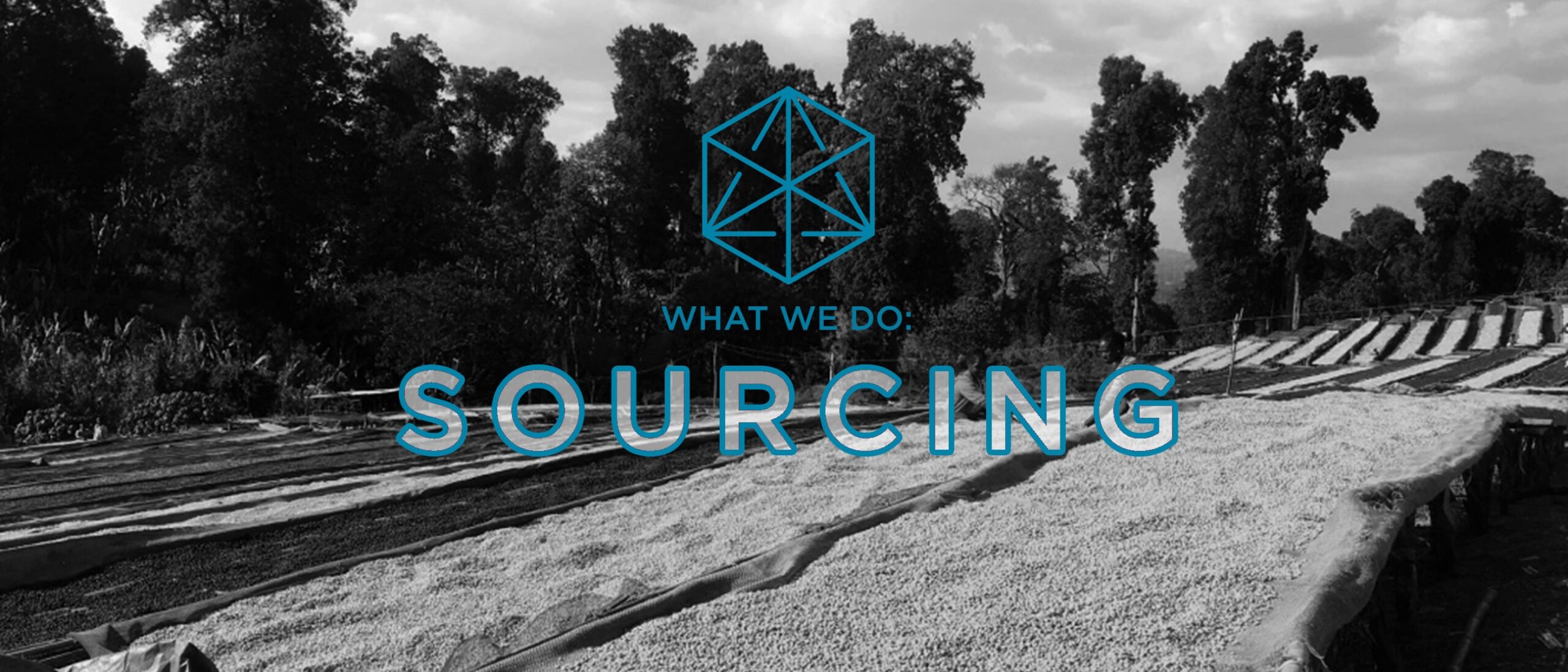 What We Do: Sourcing