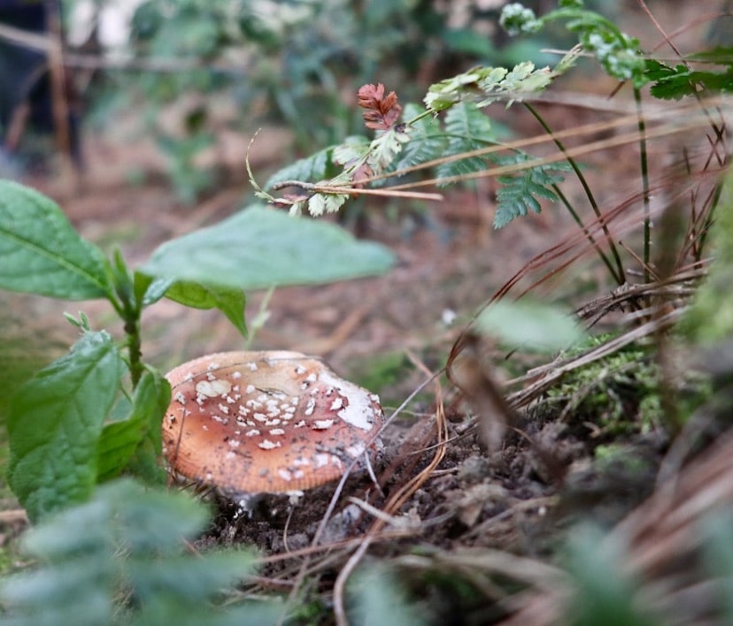 Soil Health 2