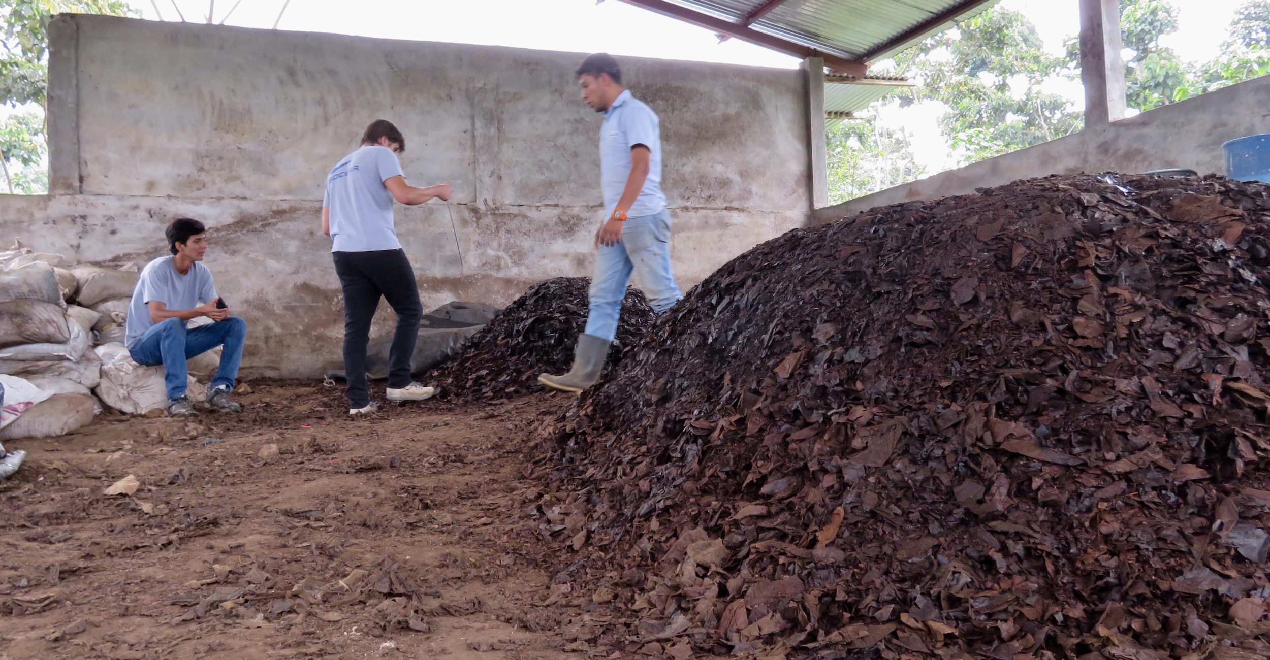 Coffee for a Healthier Earth
