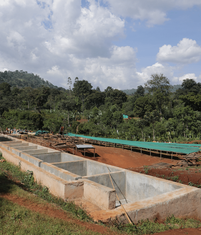 The Worka Chelbessa washing station in Ethiopia utilizes the traditional underwater fermentation. Coffee washing stations at Worka Chelbessa in Ethiopia.