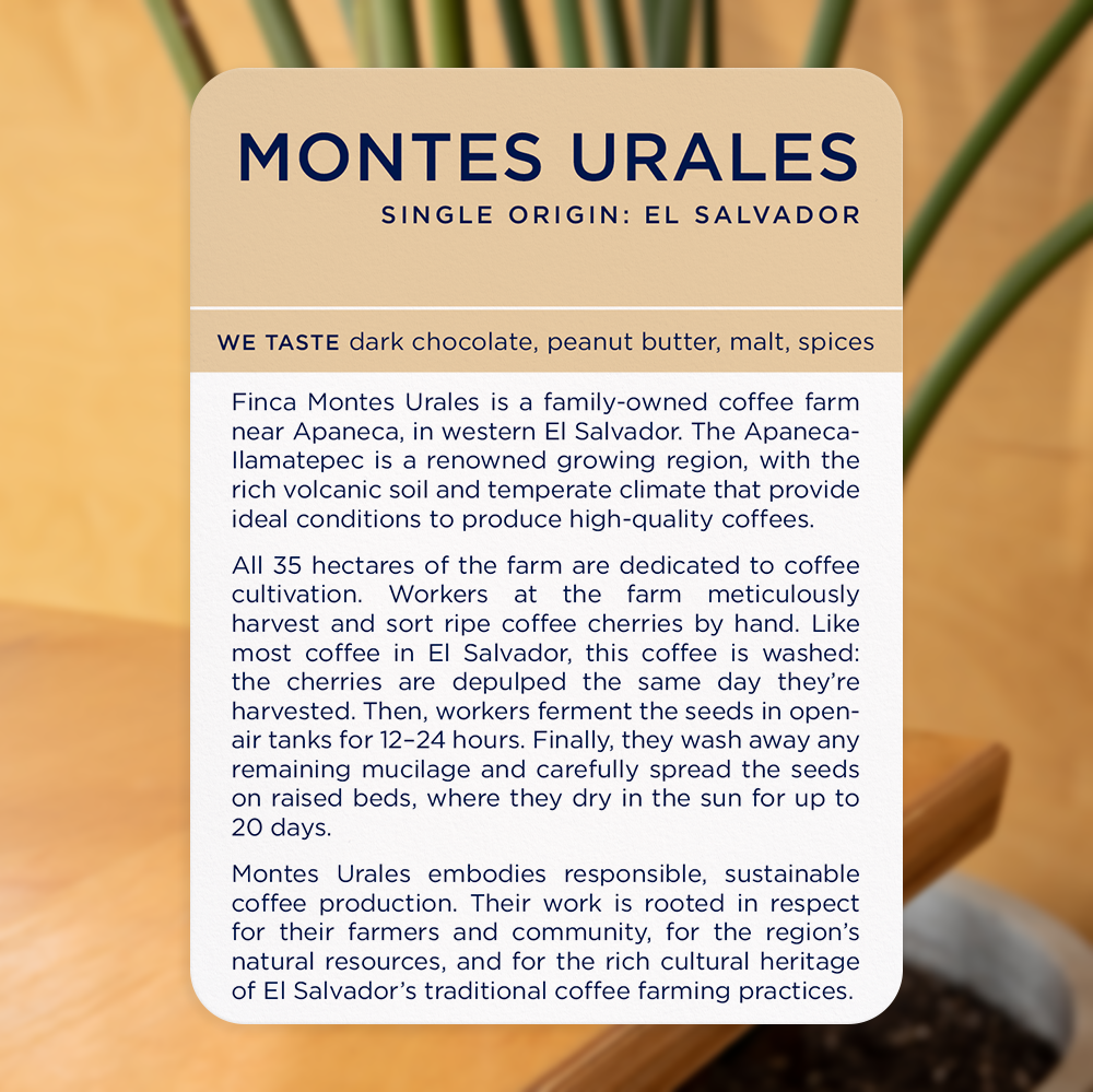 Montes Urales, El Salvador - Image 2