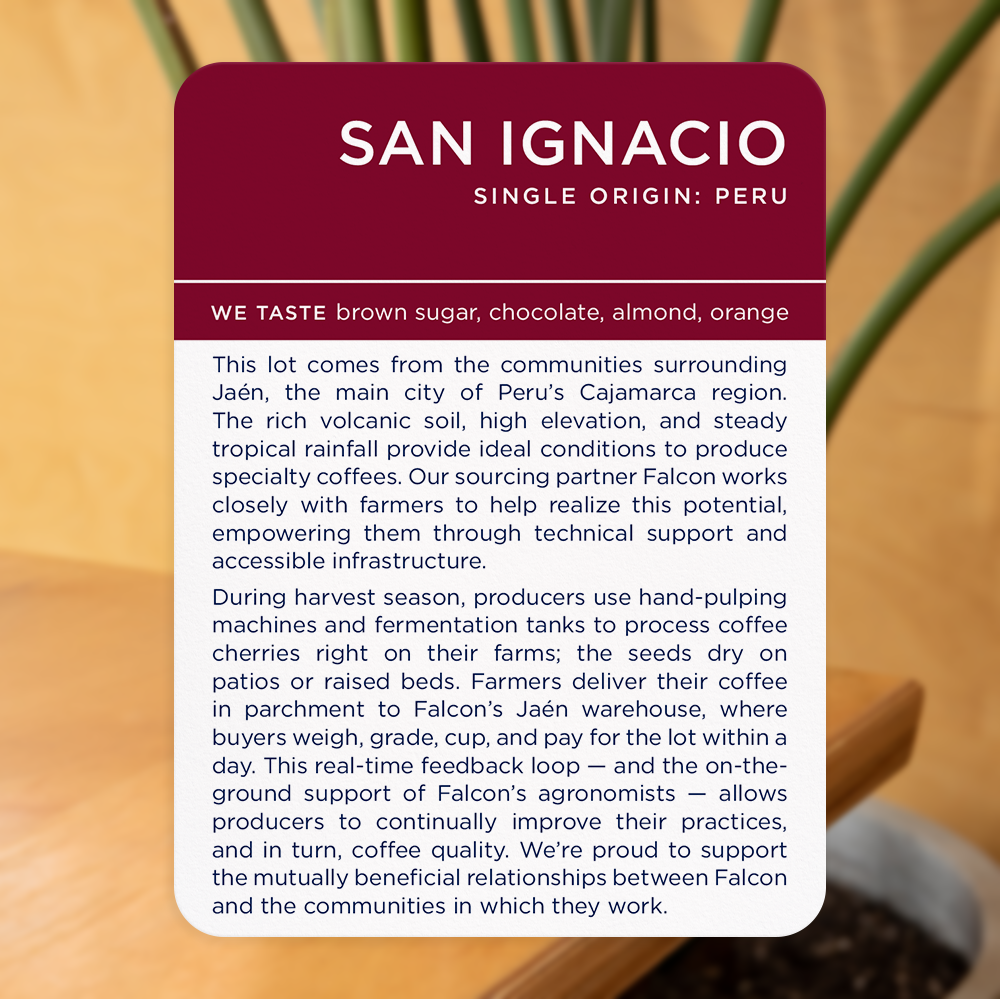 San Ignacio, Peru - Image 2